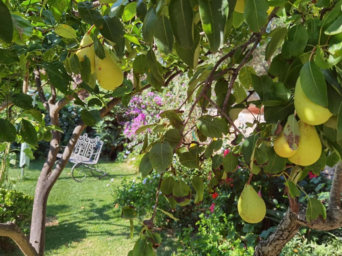 Il Giardino Di Tatiana Rooms & Breakfast La Maddalena  Buitenkant foto