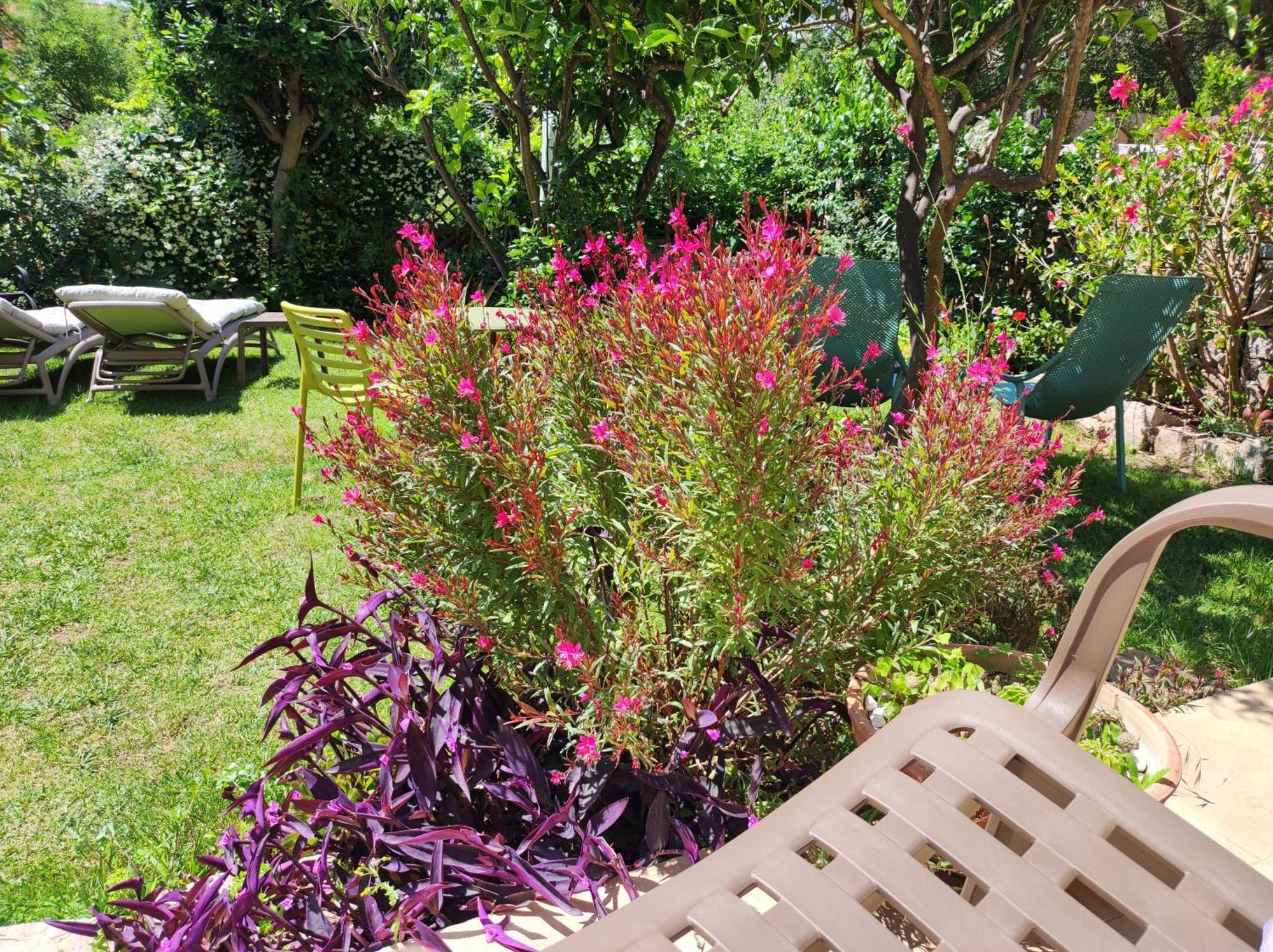 Il Giardino Di Tatiana Rooms & Breakfast La Maddalena  Buitenkant foto