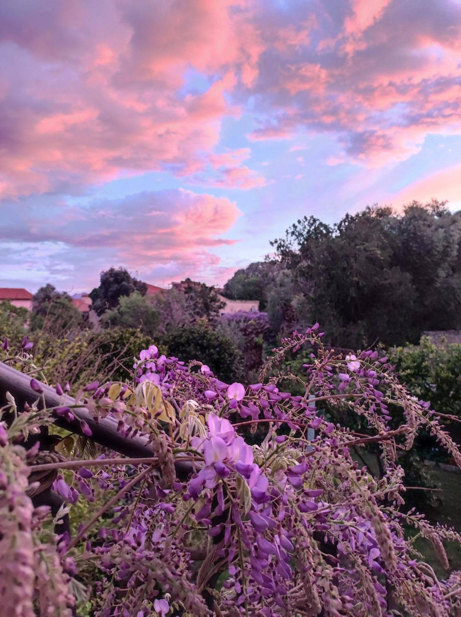 Il Giardino Di Tatiana Rooms & Breakfast La Maddalena  Kamer foto