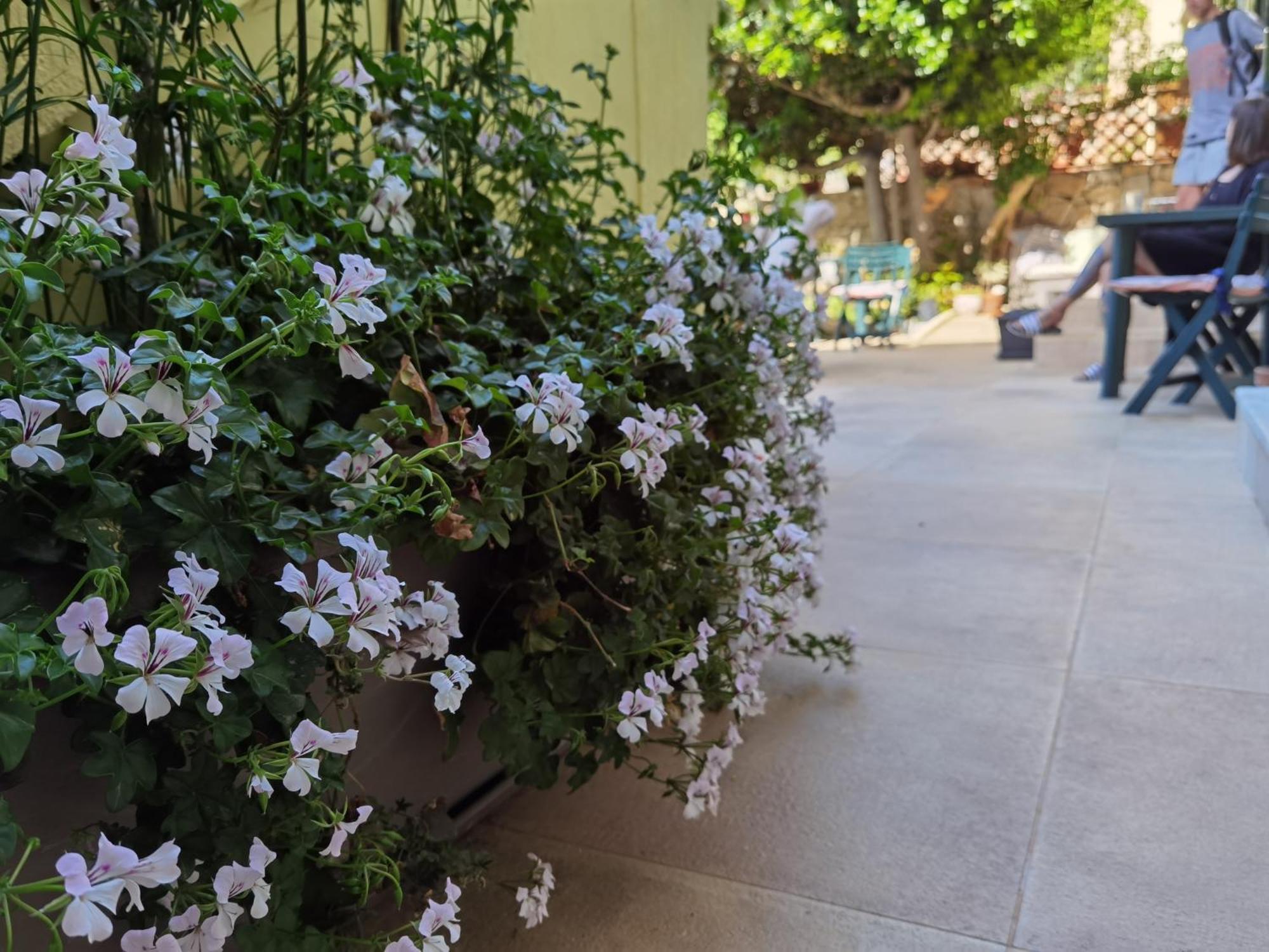 Il Giardino Di Tatiana Rooms & Breakfast La Maddalena  Kamer foto