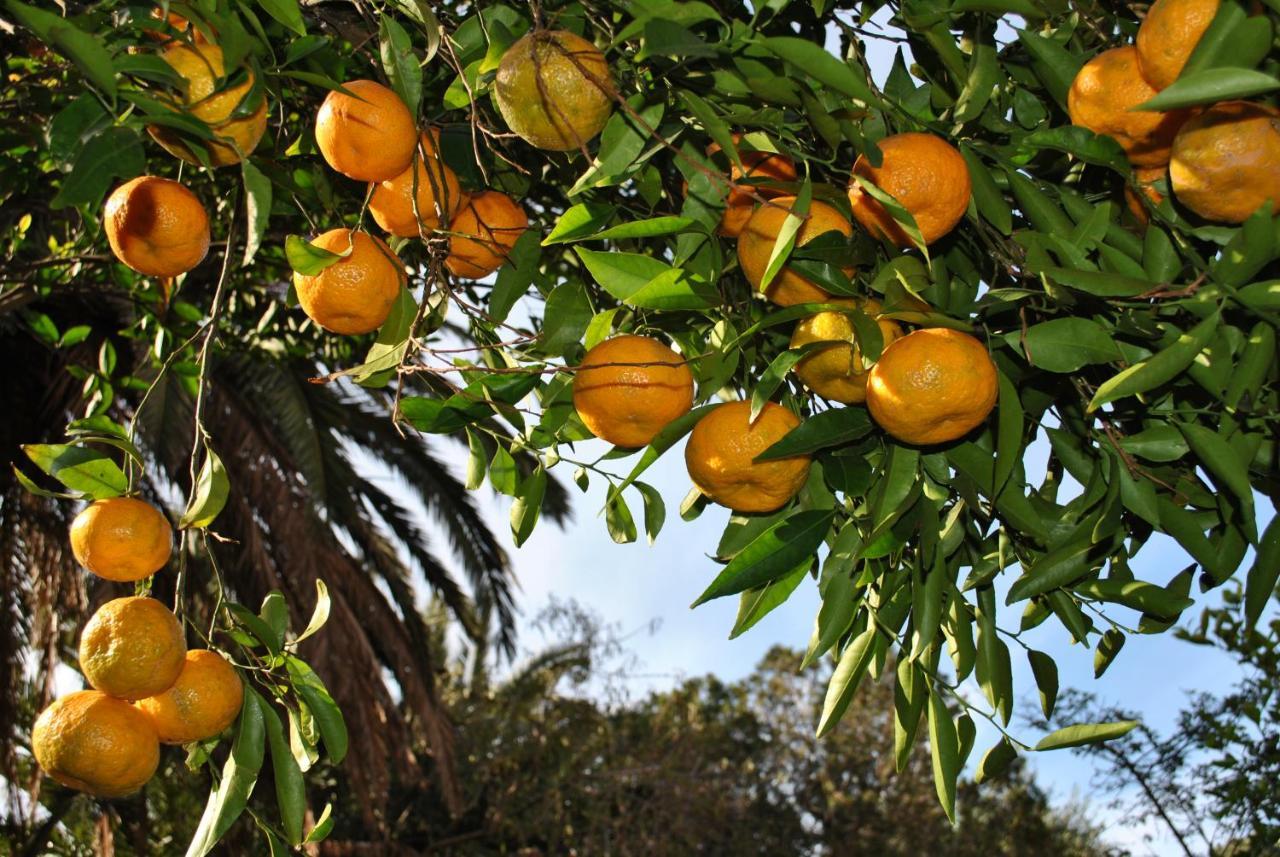 Il Giardino Di Tatiana Rooms & Breakfast La Maddalena  Buitenkant foto